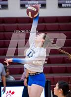 Photo from the gallery "Klein @ Magnolia"
