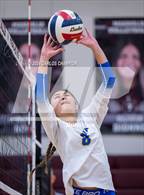 Photo from the gallery "Klein @ Magnolia"