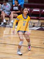 Photo from the gallery "Klein @ Magnolia"