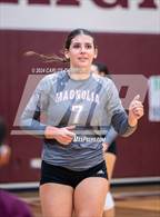 Photo from the gallery "Klein @ Magnolia"