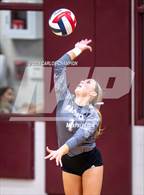 Photo from the gallery "Klein @ Magnolia"