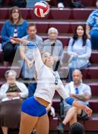 Photo from the gallery "Klein @ Magnolia"