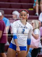 Photo from the gallery "Klein @ Magnolia"