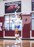 Photo from the gallery "Klein @ Magnolia"