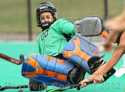 Thumbnail 1 in Grassfield vs First Colonial (AAA Eastern Region Quarterfinal) photogallery.