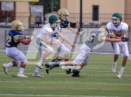 Thumbnail 2 in JV: Sonoma Valley @ Napa photogallery.