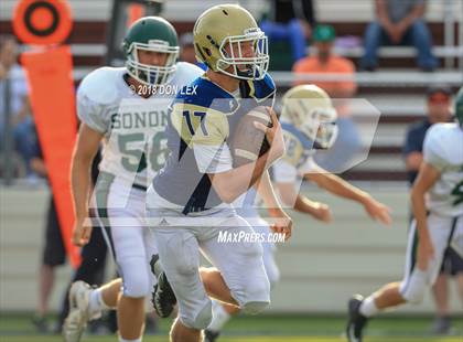 Thumbnail 2 in JV: Sonoma Valley @ Napa photogallery.