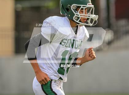 Thumbnail 1 in JV: Sonoma Valley @ Napa photogallery.