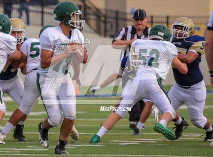 Thumbnail 1 in JV: Sonoma Valley @ Napa photogallery.