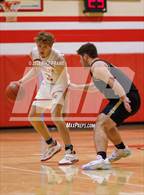 Photo from the gallery "Falconer @ Randolph"