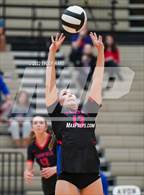 Photo from the gallery "Plainfield @ Avon"