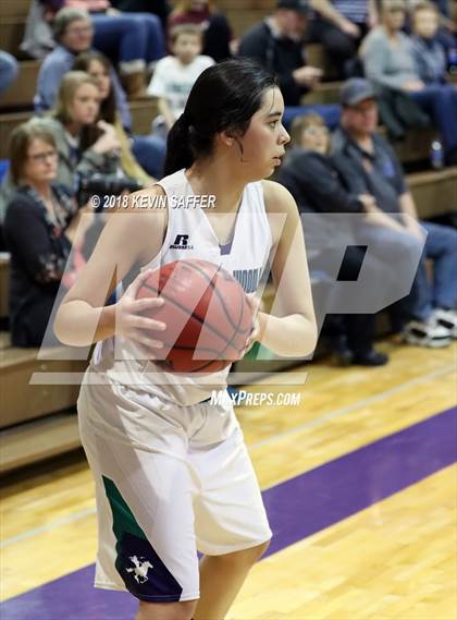 Thumbnail 2 in Flagler/Hi-Plains vs. Arickaree/Woodlin (CHSAA 1A District Playoff) photogallery.