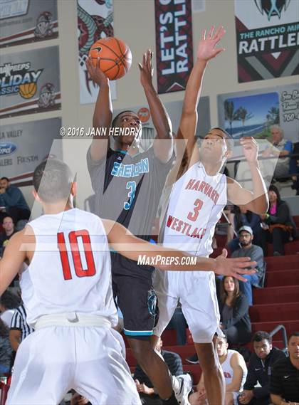 Thumbnail 1 in Harvard-Westlake vs. Sheldon (Rancho Mirage Holiday Invitational) photogallery.