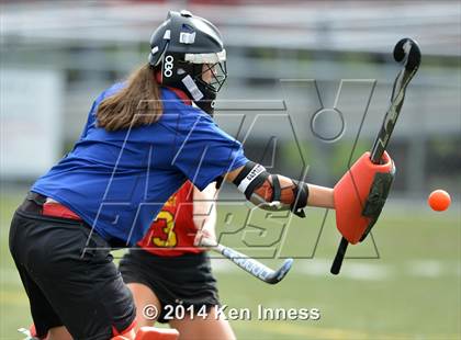 Thumbnail 3 in East @ Conestoga photogallery.