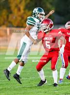 Photo from the gallery "Manteca @ East Union"