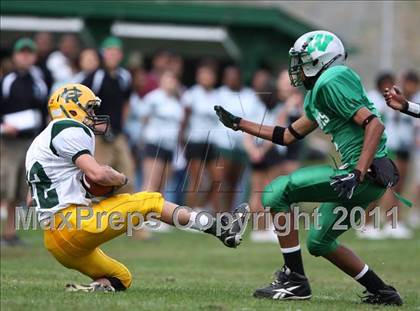 Thumbnail 2 in Holy Cross @ Wilby photogallery.