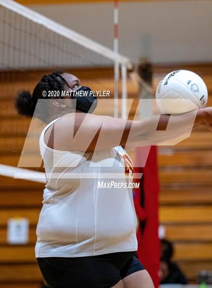 Thumbnail 3 in Pine Forest @ Douglas Byrd photogallery.