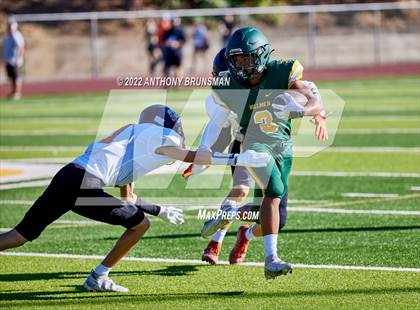 Thumbnail 3 in Roseville @ Placer photogallery.
