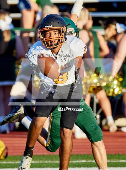 Thumbnail 2 in Roseville @ Placer photogallery.