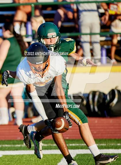 Thumbnail 1 in Roseville @ Placer photogallery.