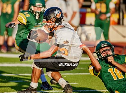 Thumbnail 3 in Roseville @ Placer photogallery.