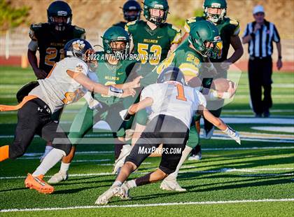 Thumbnail 3 in Roseville @ Placer photogallery.