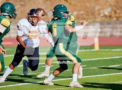 Thumbnail 1 in Roseville @ Placer photogallery.