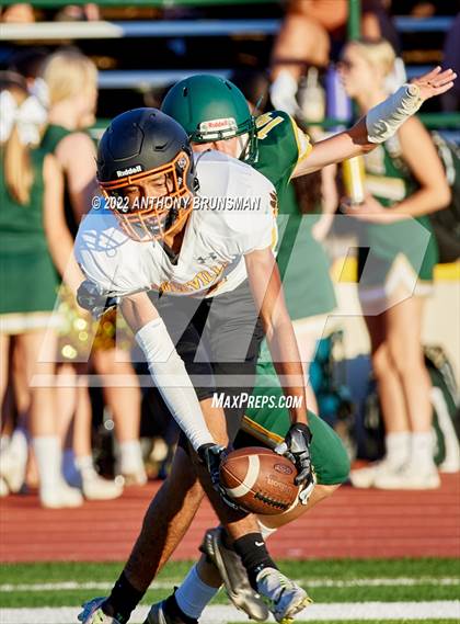 Thumbnail 3 in Roseville @ Placer photogallery.