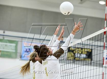Thumbnail 1 in Davis @ Syracuse photogallery.