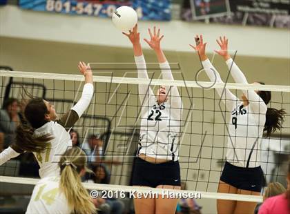 Thumbnail 3 in Davis @ Syracuse photogallery.