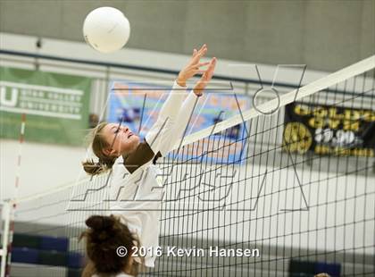 Thumbnail 1 in Davis @ Syracuse photogallery.