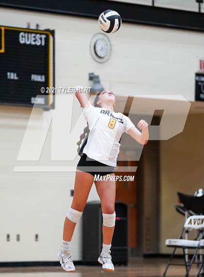 Thumbnail 1 in Hamilton Southeastern @ Avon photogallery.