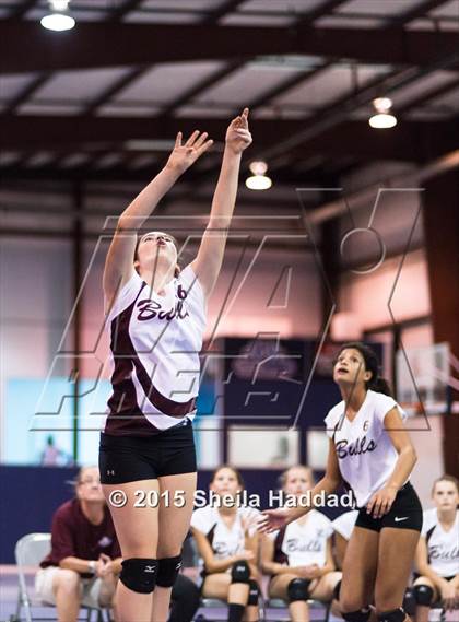Thumbnail 3 in Wiregrass @ Carrollwood Day photogallery.