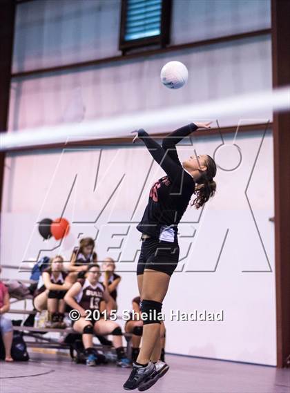 Thumbnail 3 in Wiregrass @ Carrollwood Day photogallery.