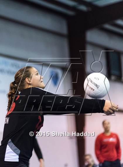 Thumbnail 2 in Wiregrass @ Carrollwood Day photogallery.