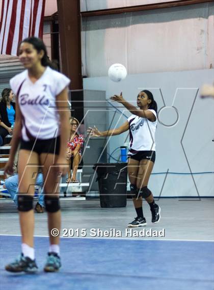 Thumbnail 2 in Wiregrass @ Carrollwood Day photogallery.