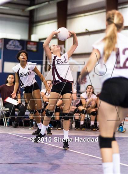 Thumbnail 2 in Wiregrass @ Carrollwood Day photogallery.