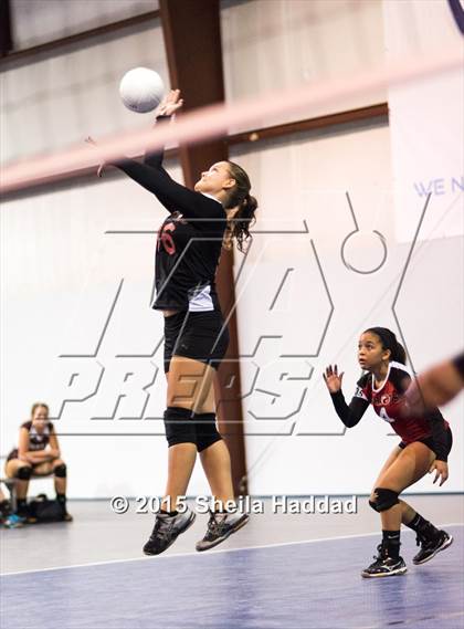 Thumbnail 2 in Wiregrass @ Carrollwood Day photogallery.