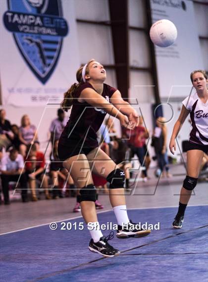 Thumbnail 1 in Wiregrass @ Carrollwood Day photogallery.