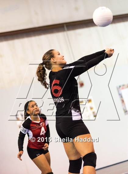Thumbnail 1 in Wiregrass @ Carrollwood Day photogallery.