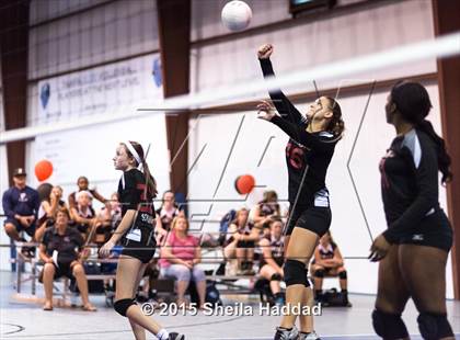 Thumbnail 1 in Wiregrass @ Carrollwood Day photogallery.