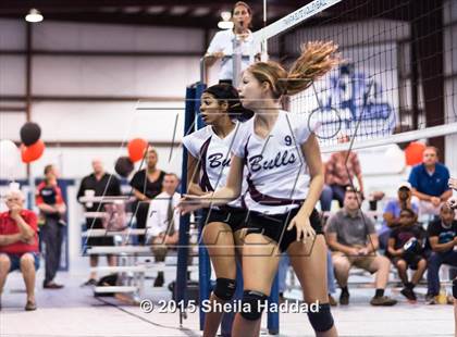 Thumbnail 2 in Wiregrass @ Carrollwood Day photogallery.