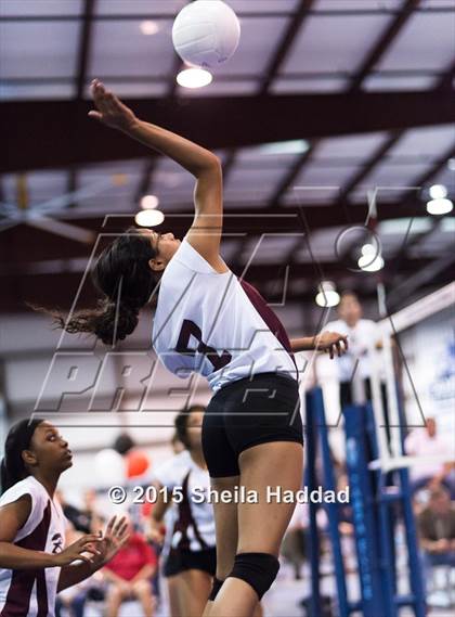 Thumbnail 3 in Wiregrass @ Carrollwood Day photogallery.