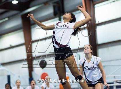 Thumbnail 3 in Wiregrass @ Carrollwood Day photogallery.