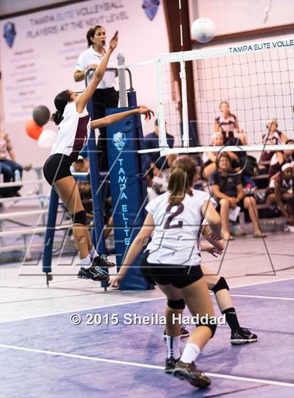 Thumbnail 3 in Wiregrass @ Carrollwood Day photogallery.