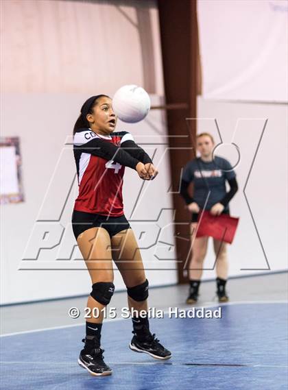 Thumbnail 3 in Wiregrass @ Carrollwood Day photogallery.