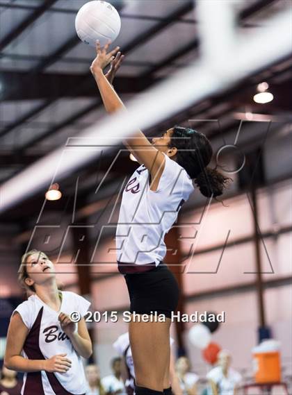 Thumbnail 3 in Wiregrass @ Carrollwood Day photogallery.