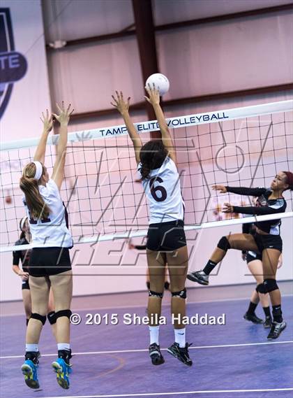 Thumbnail 2 in Wiregrass @ Carrollwood Day photogallery.