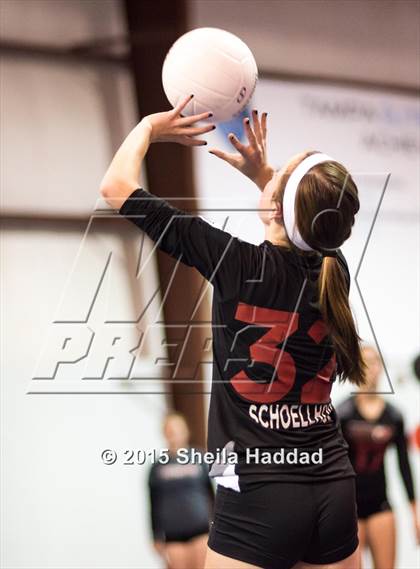Thumbnail 3 in Wiregrass @ Carrollwood Day photogallery.