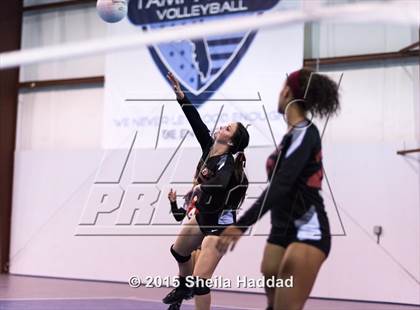 Thumbnail 2 in Wiregrass @ Carrollwood Day photogallery.